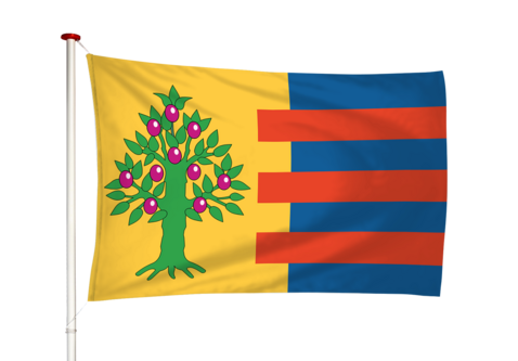 Vlag Hitzum - Hitsum (fr)