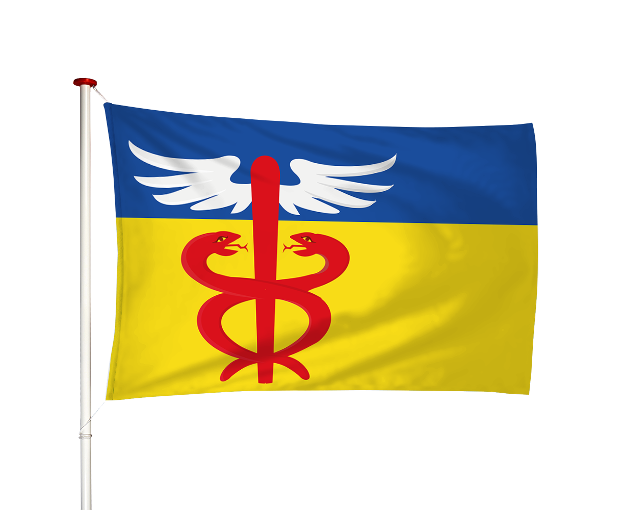 Vlag Holwerd - Holwert (fr)