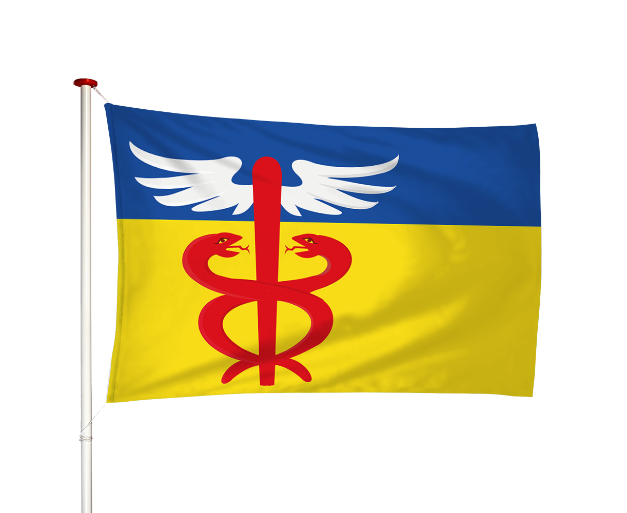 Vlag Holwerd - Holwert (fr)