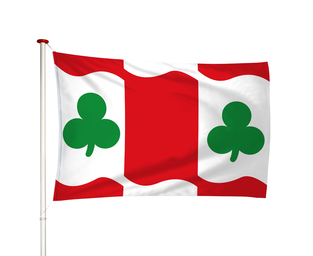 Vlag Huins - Huns (fr)