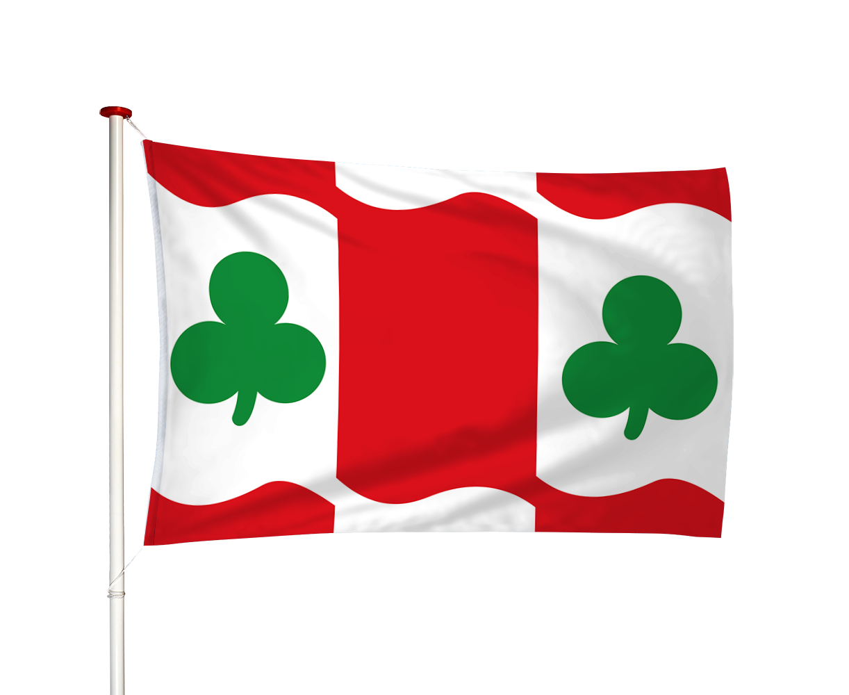 Vlag Huins - Huns (fr)