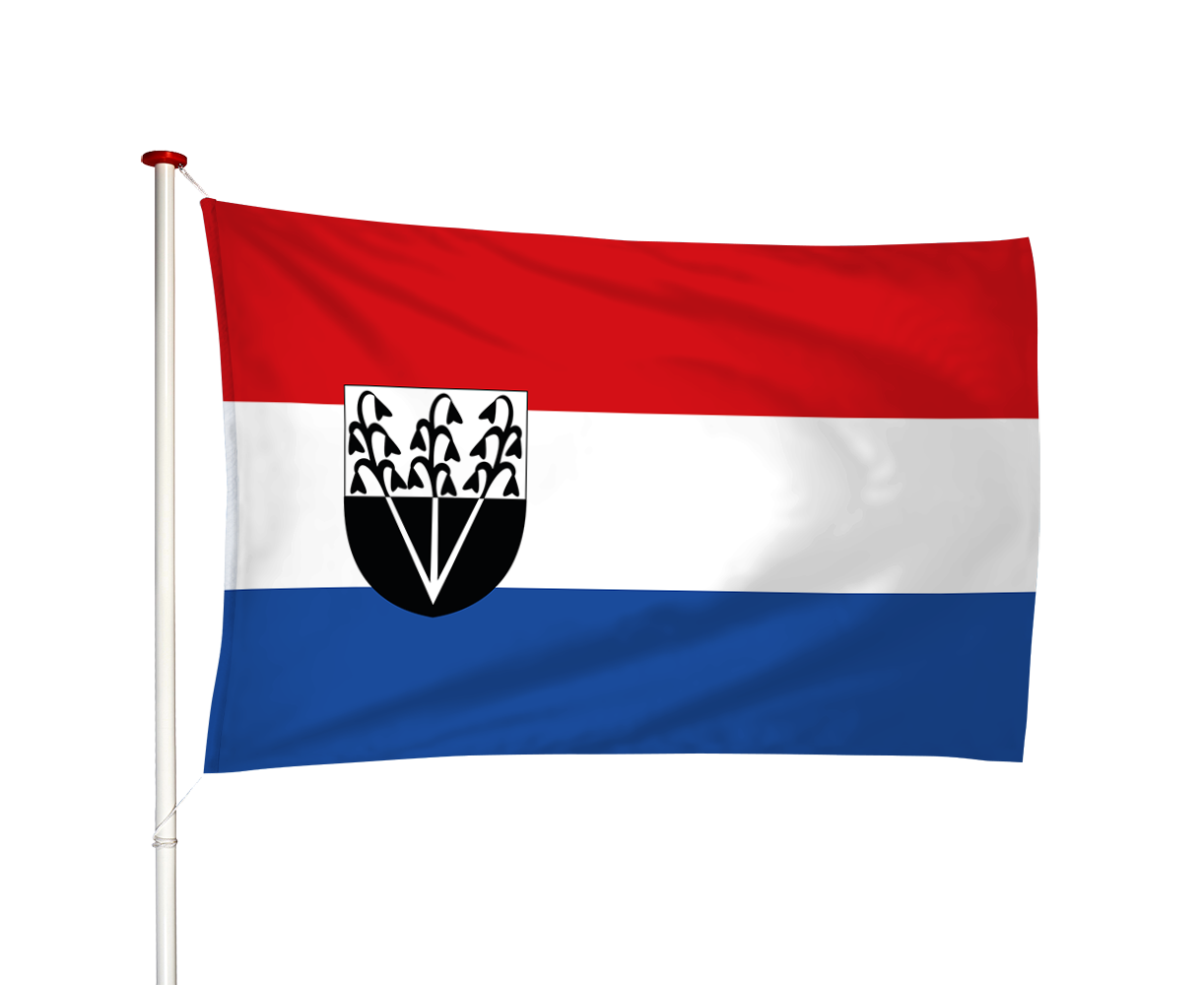 Vlag Joure - De Jouwer (fr)