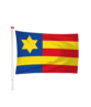 Vlag Koudum