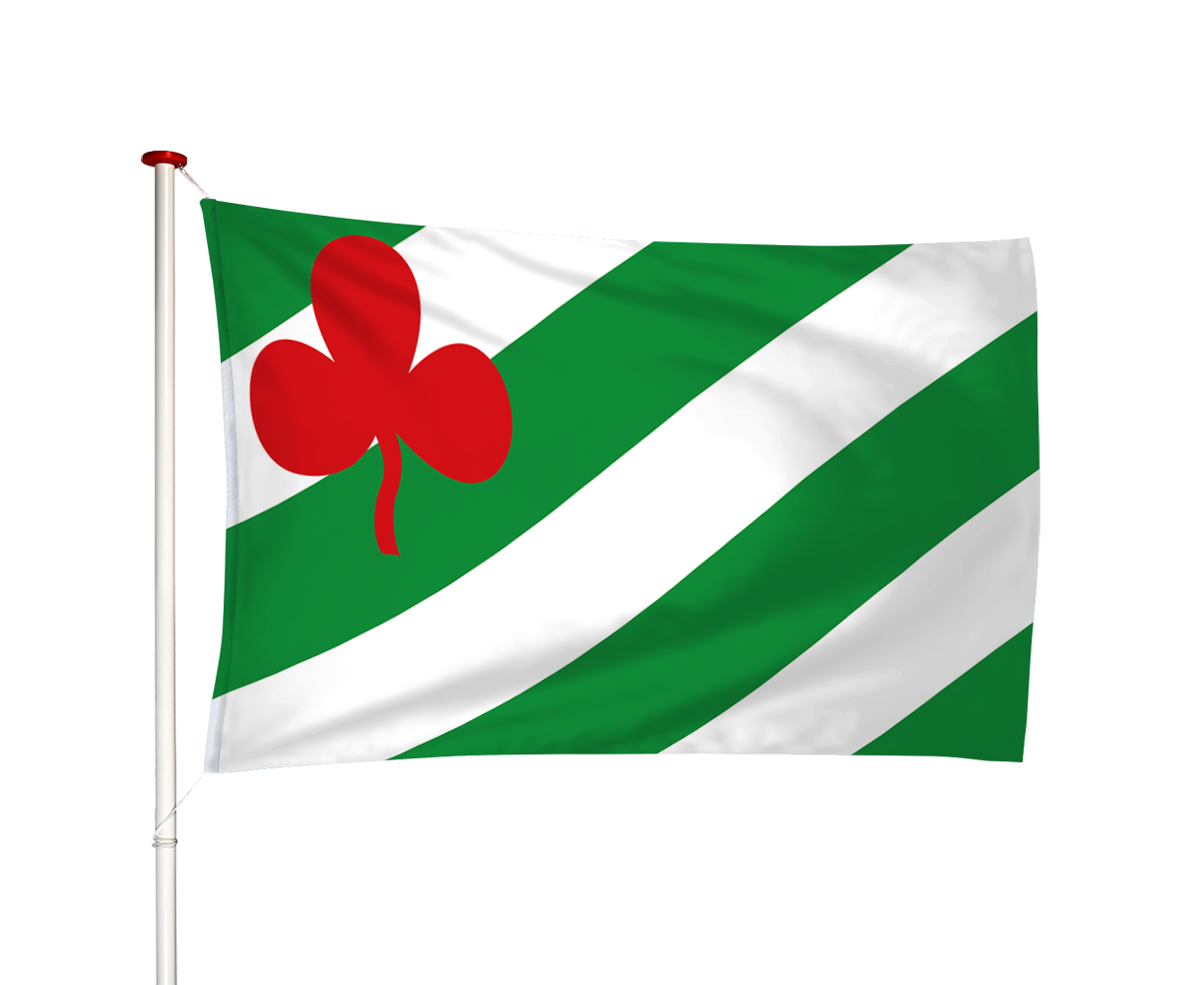 Vlag Langezwaag - Langsweagen (fr)