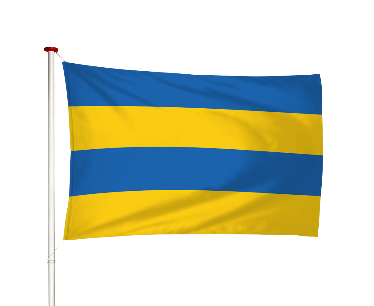 Vlag Leeuwarden - Ljouwert (fr)