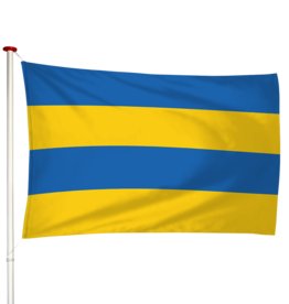 Vlag Leeuwarden - Ljouwert (fr)