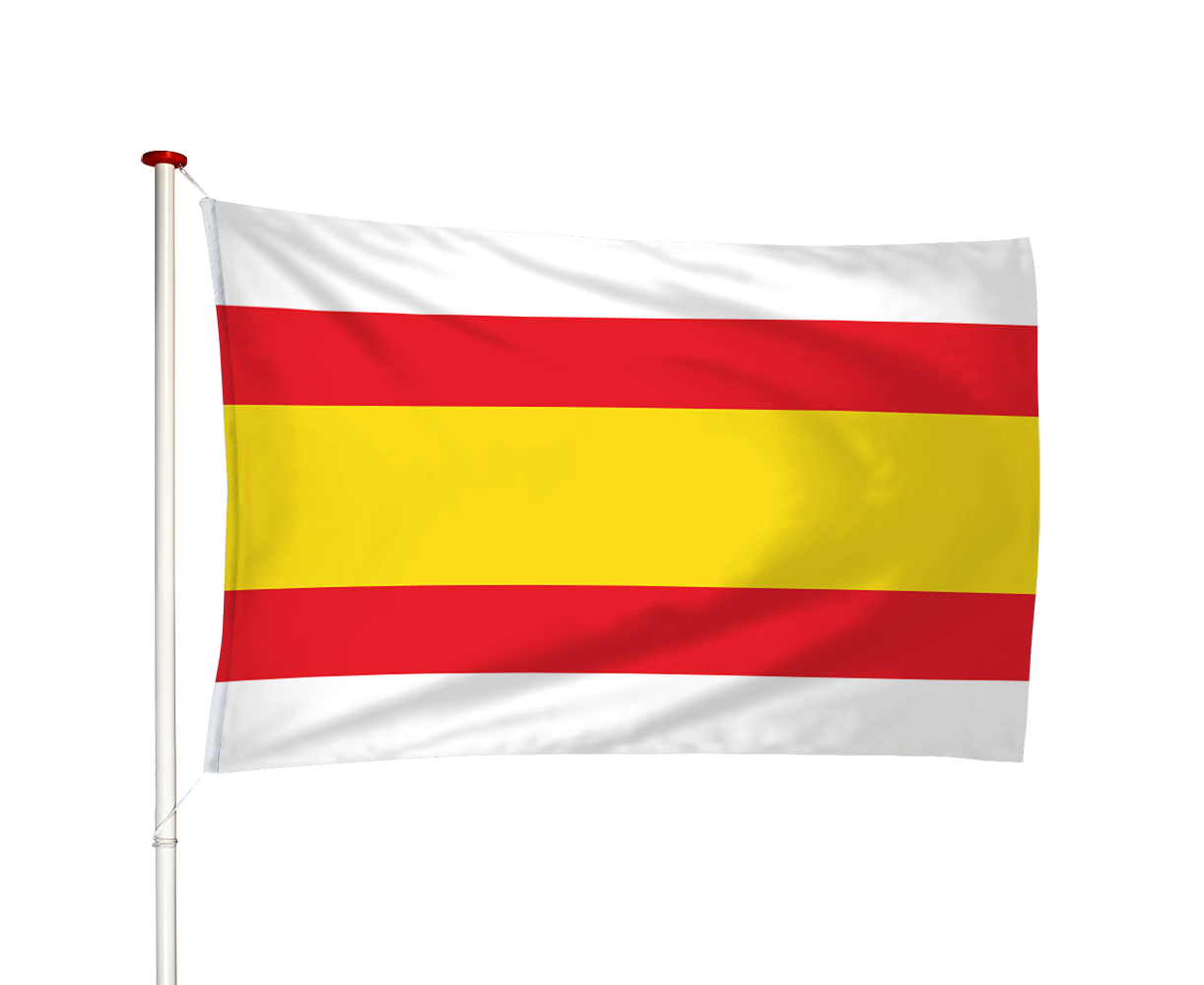 Vlag Lemmer