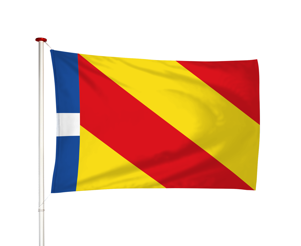 Vlag Longerhouw - Longerhou (fr)
