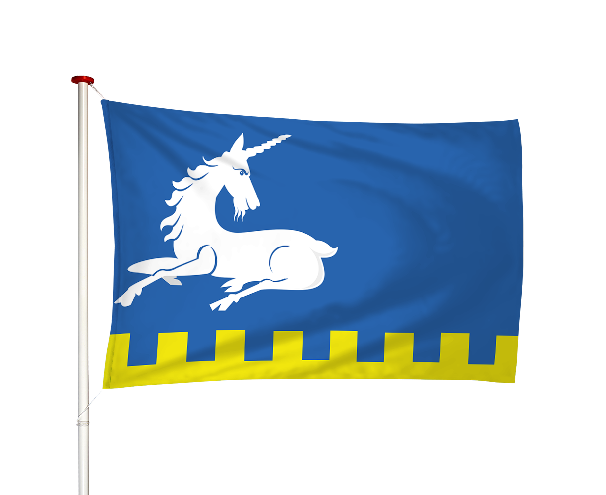 Vlag Menaldum - Menaam (fr)