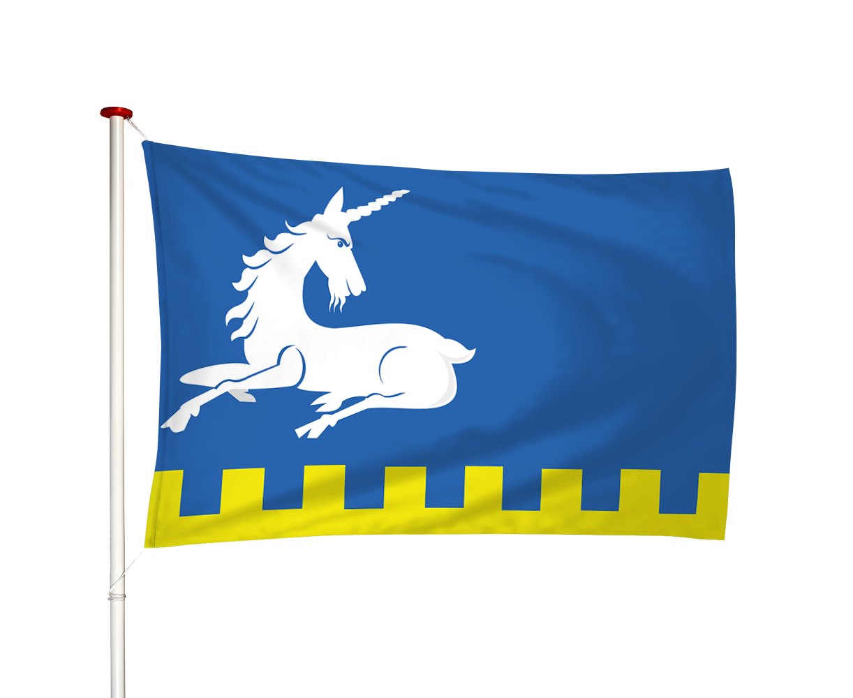 Vlag Menaldum - Menaam (fr)