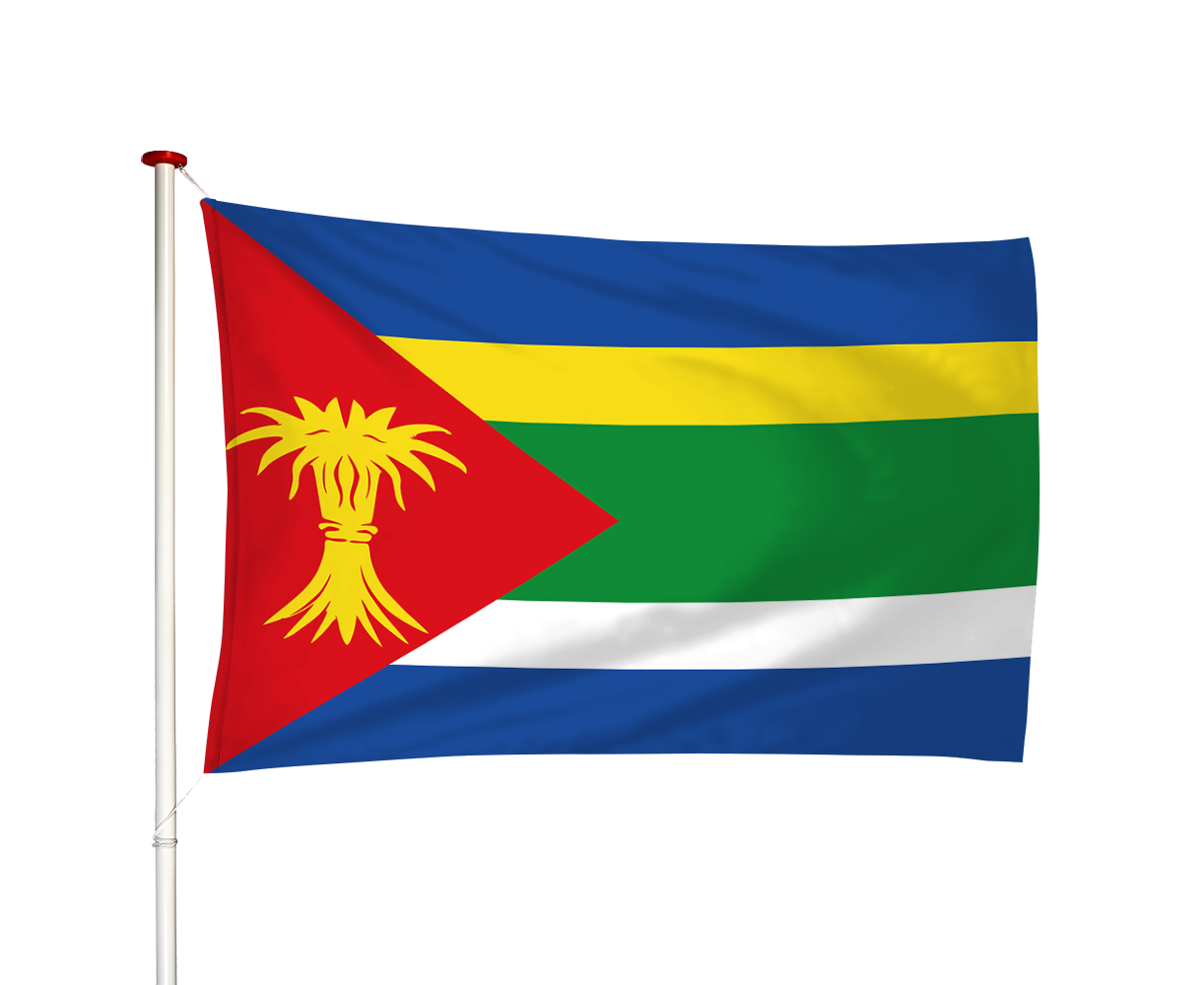 Vlag Minnertsga - Minnertsgea (fr)