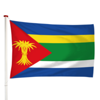 Vlag Minnertsga - Minnertsgea (fr)