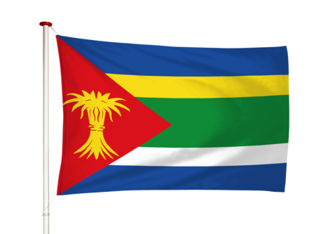 Vlag Minnertsga - Minnertsgea (fr)