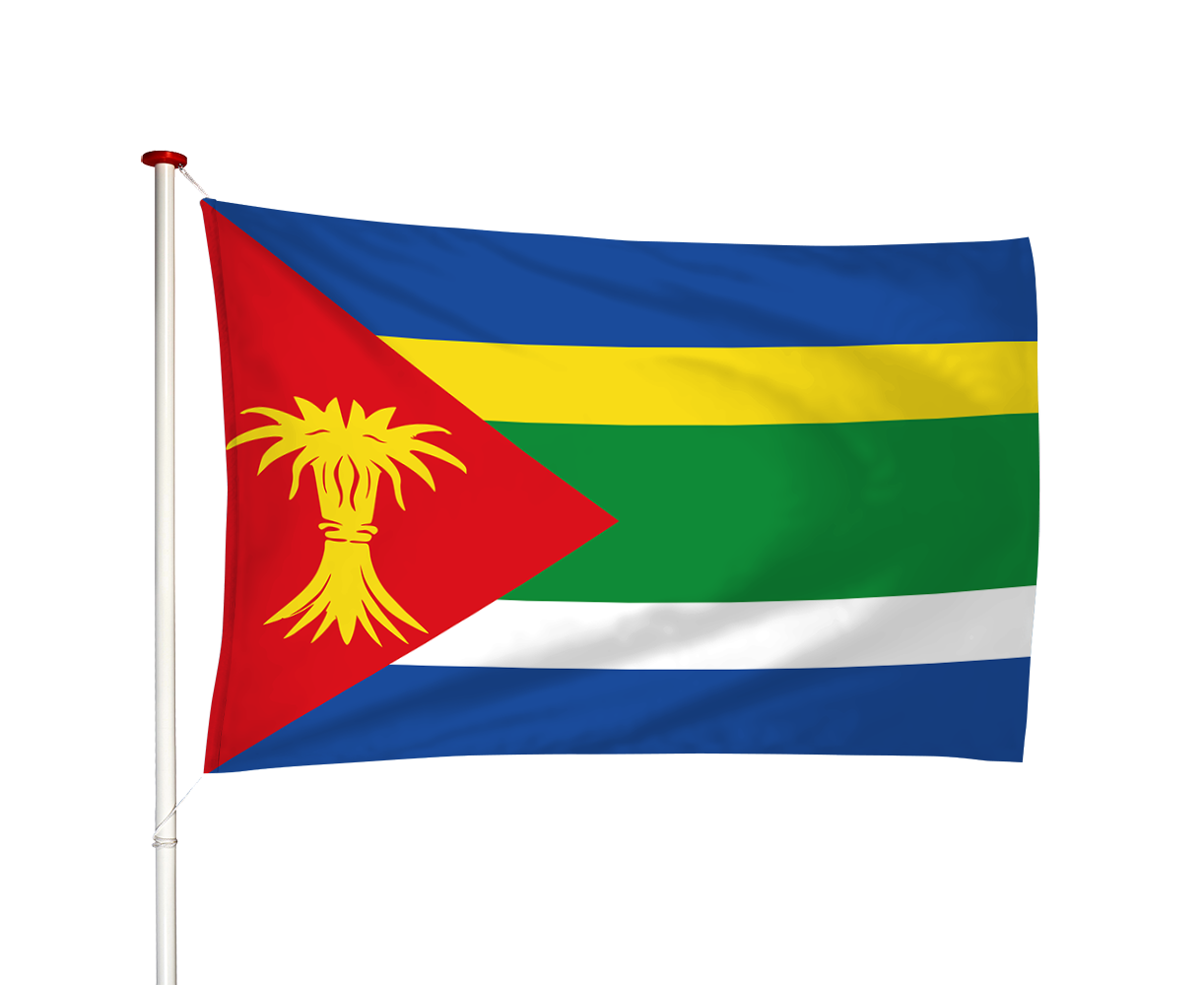 Vlag Minnertsga - Minnertsgea (fr)