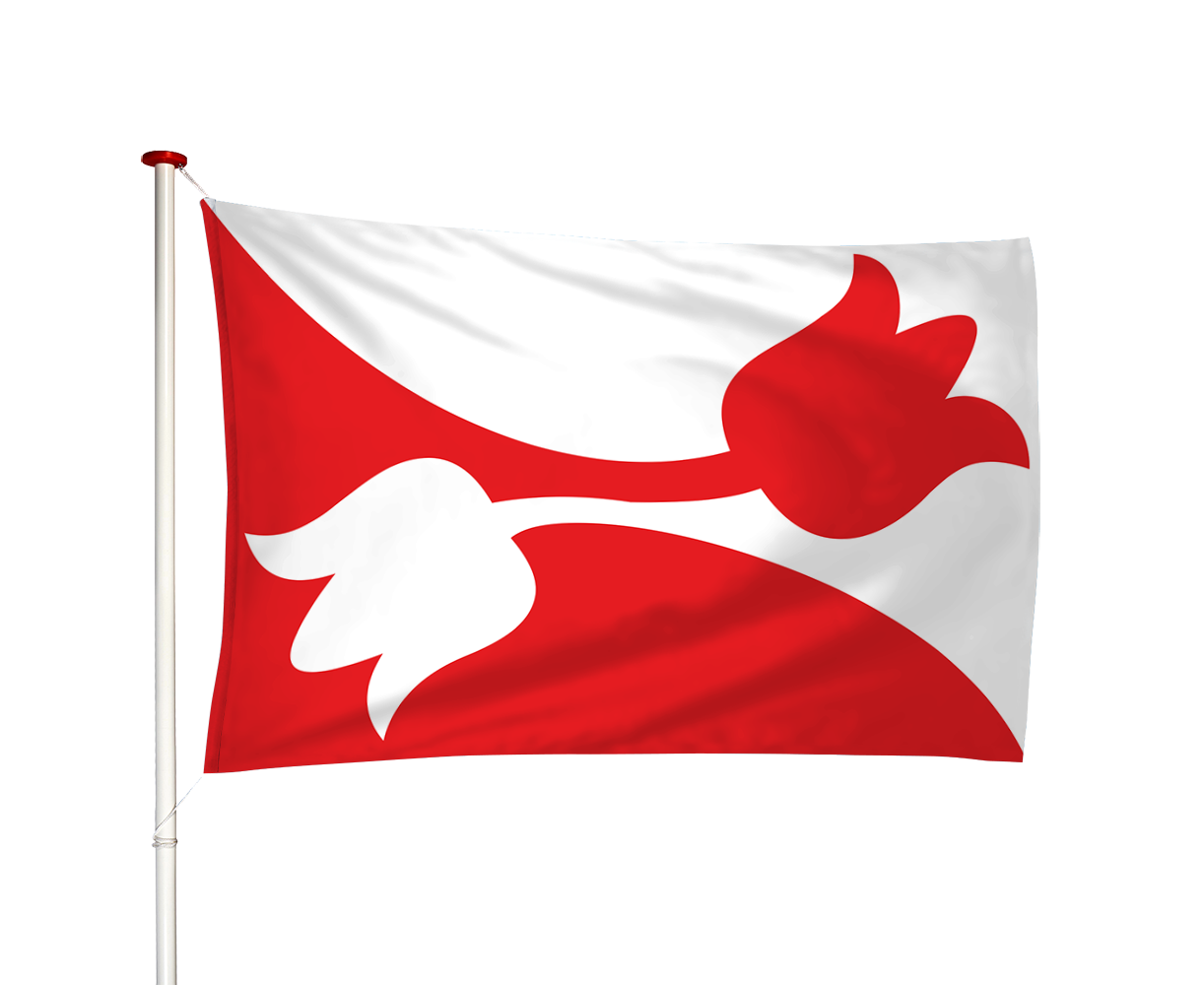 Vlag Nes (Noordoost Friesland)