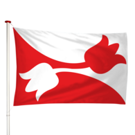 Vlag Nes (Noordoost Friesland)