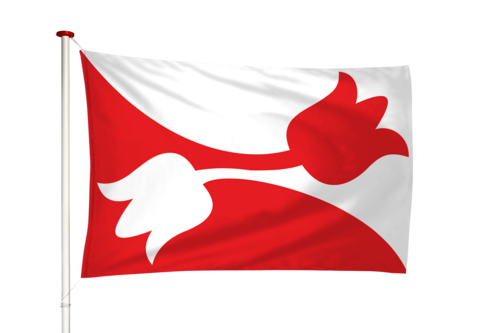 Vlag Nes (Noordoost Friesland)