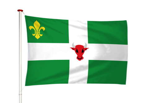 Vlag Nijland - Nijlan (fr)