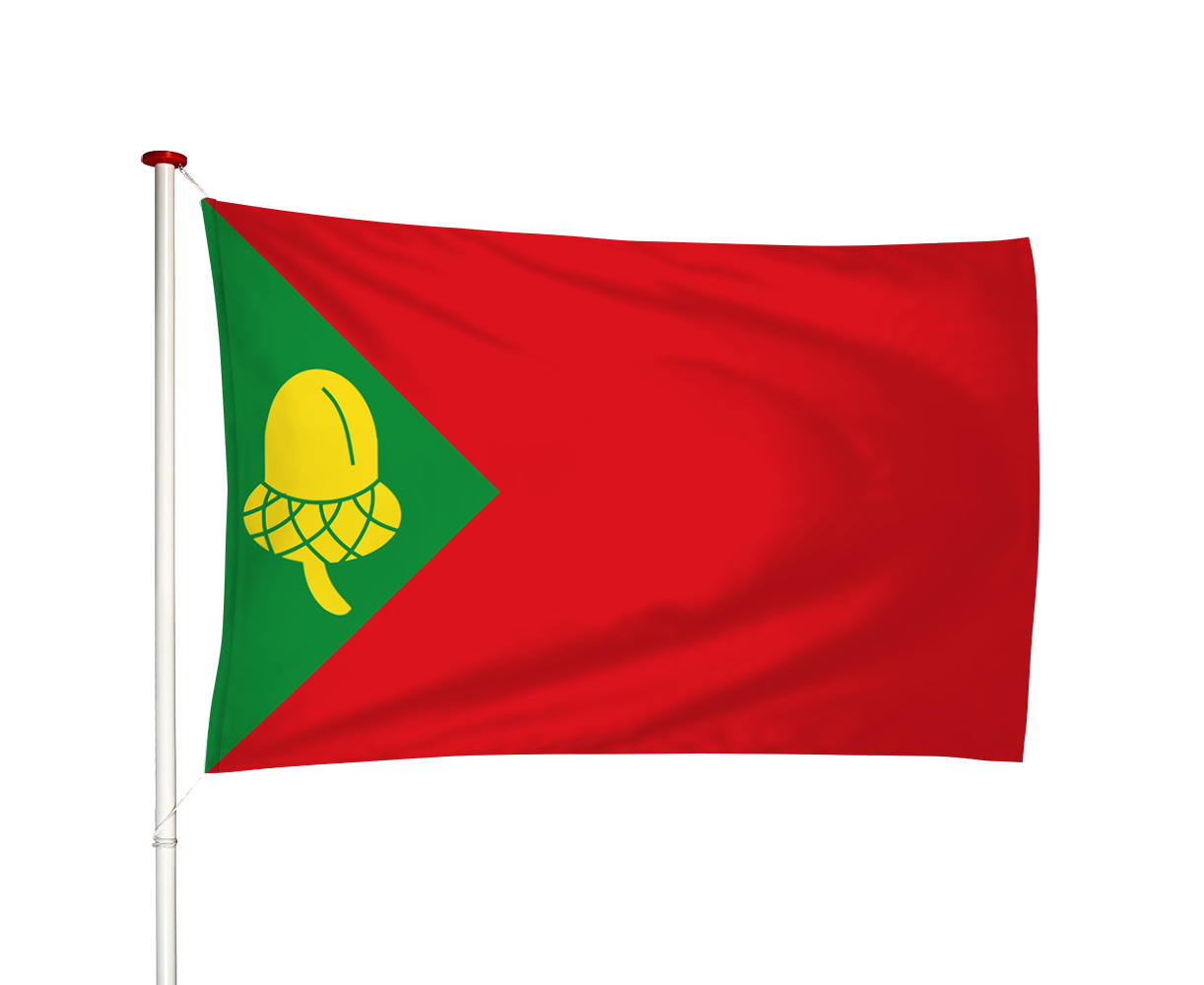 Vlag Noordbergum - Noardburgum (fr)