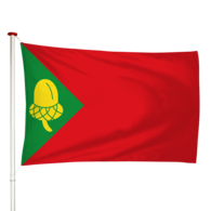 Vlag Noordbergum - Noardburgum (fr)