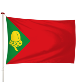 Vlag Noordbergum - Noardburgum (fr)
