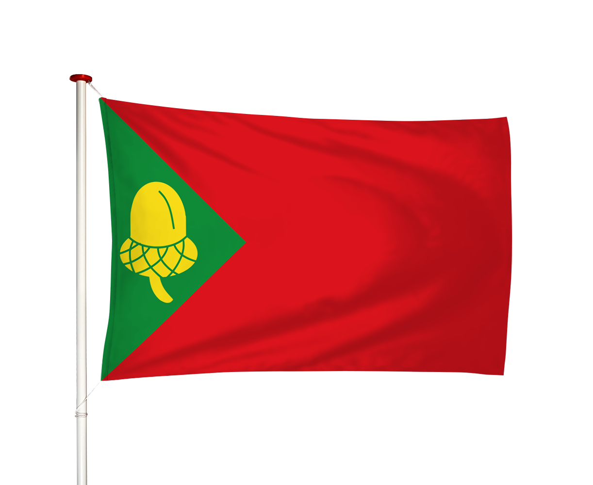 Vlag Noordbergum - Noardburgum (fr)