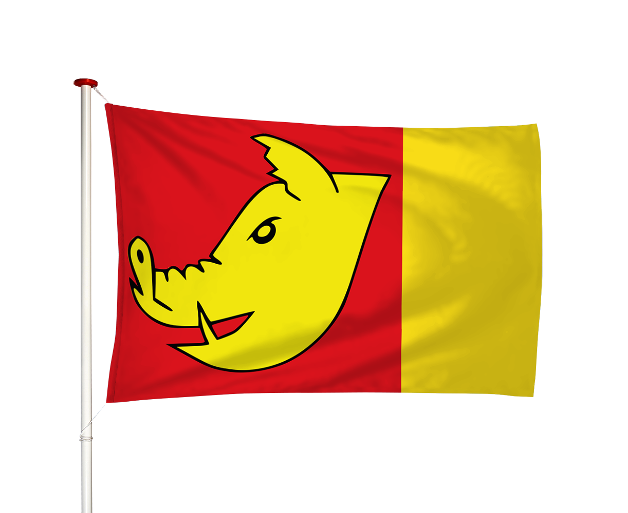 Vlag Oldeboorn - Aldeboarn (fr)