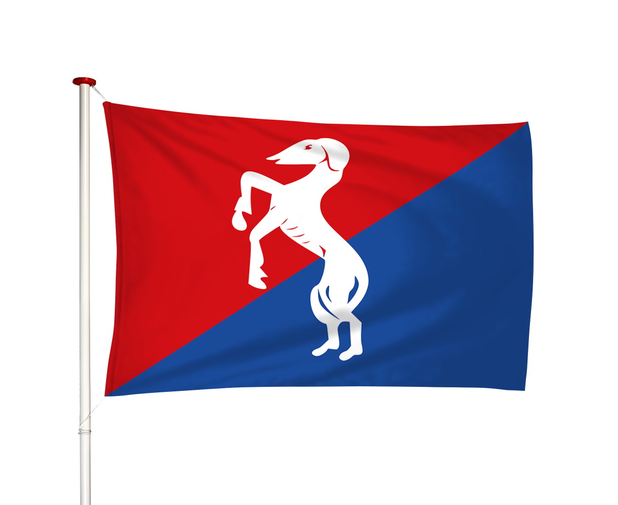 Vlag Oosternijkerk - Easternijtsjerk (fr)