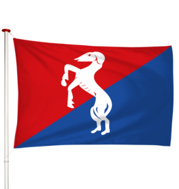 Vlag Oosternijkerk - Easternijtsjerk (fr)