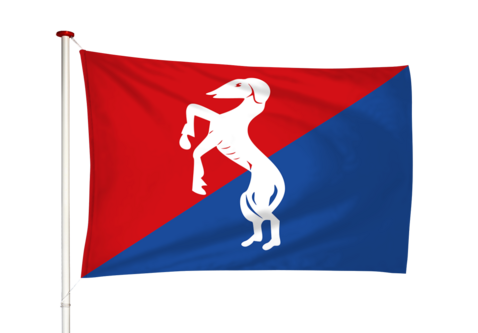 Vlag Oosternijkerk - Easternijtsjerk (fr)