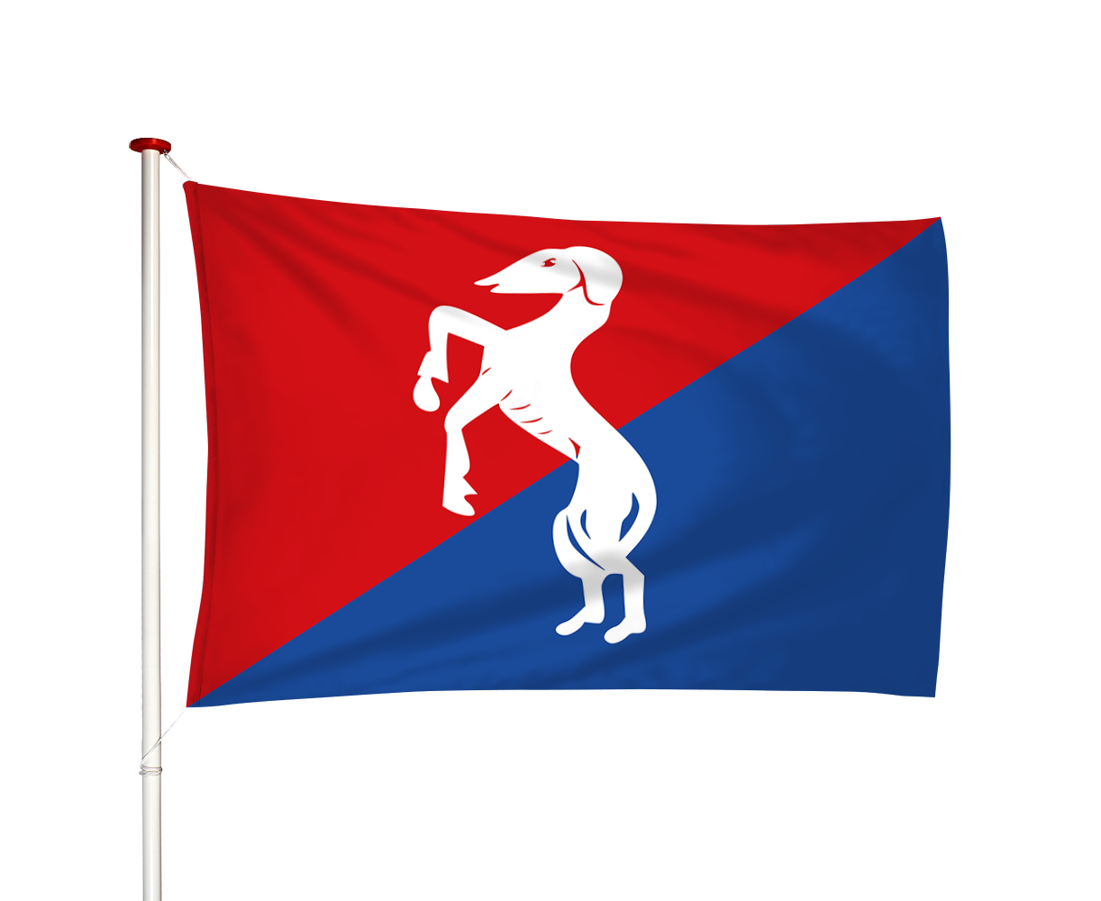 Vlag Oosternijkerk - Easternijtsjerk (fr)