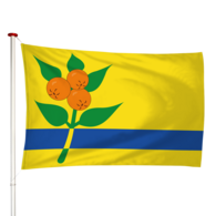 Vlag Oranjewoud - Oranjewald (fr)