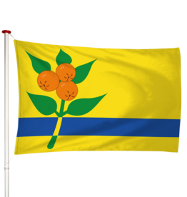 Vlag Oranjewoud - Oranjewald (fr)