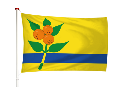Vlag Oranjewoud - Oranjewald (fr)