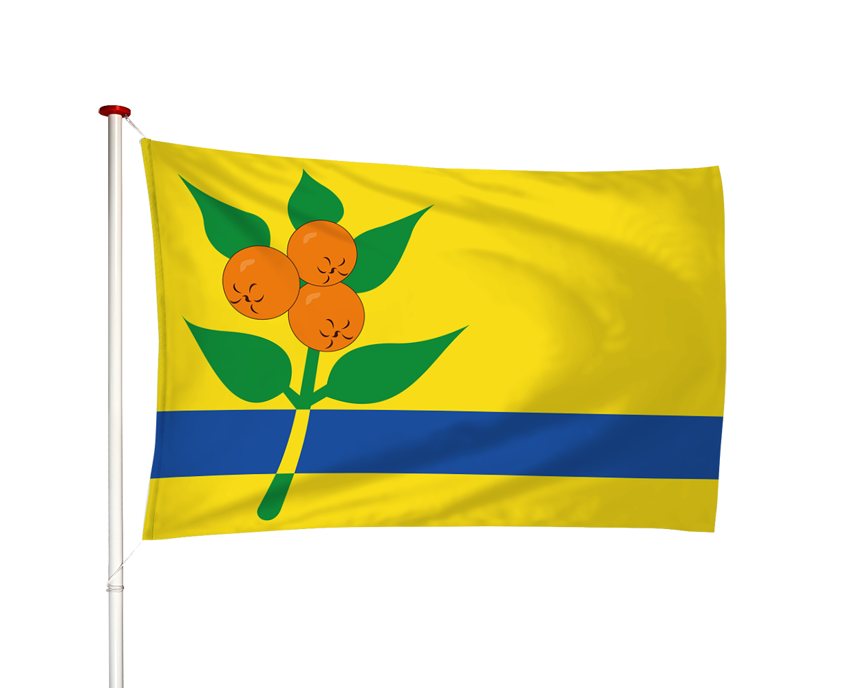 Vlag Oranjewoud - Oranjewald (fr)