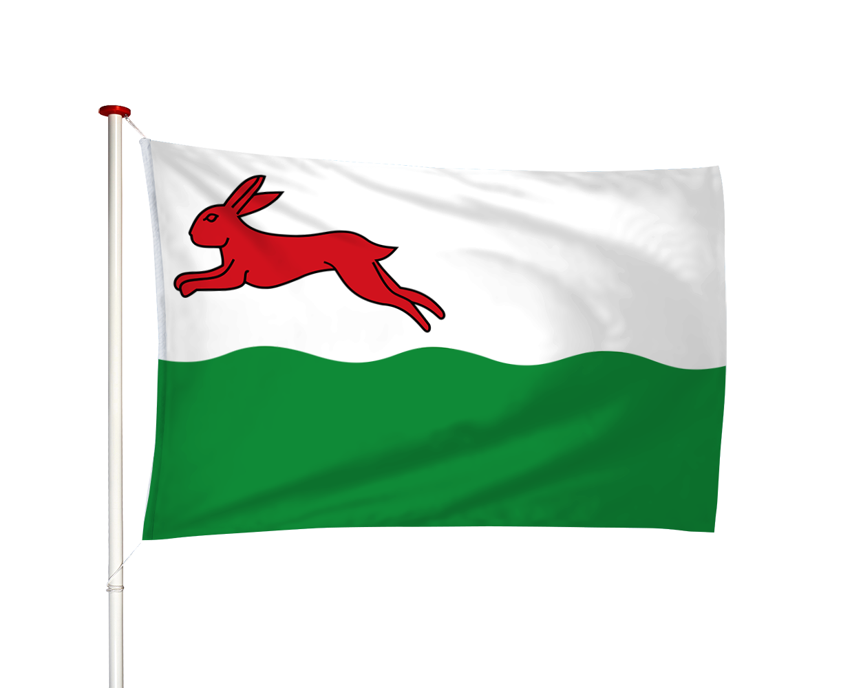 Vlag Oudehaske - Aldehaske (fr)