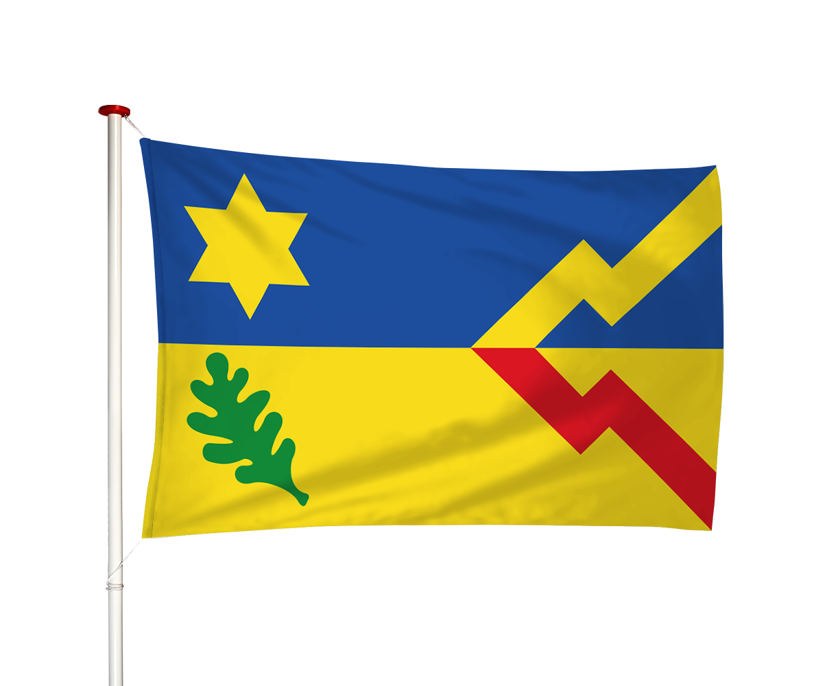 Vlag Oudeschoot - Aldskoat (fr)