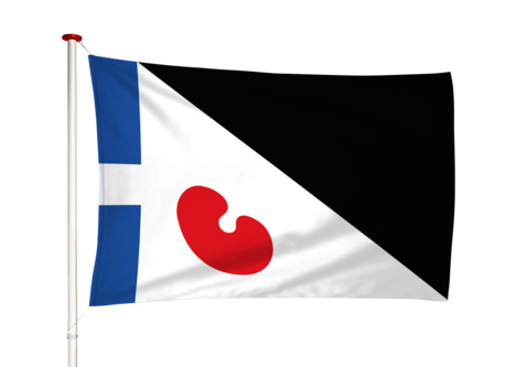 Vlag Parrega - Parregea (fr)