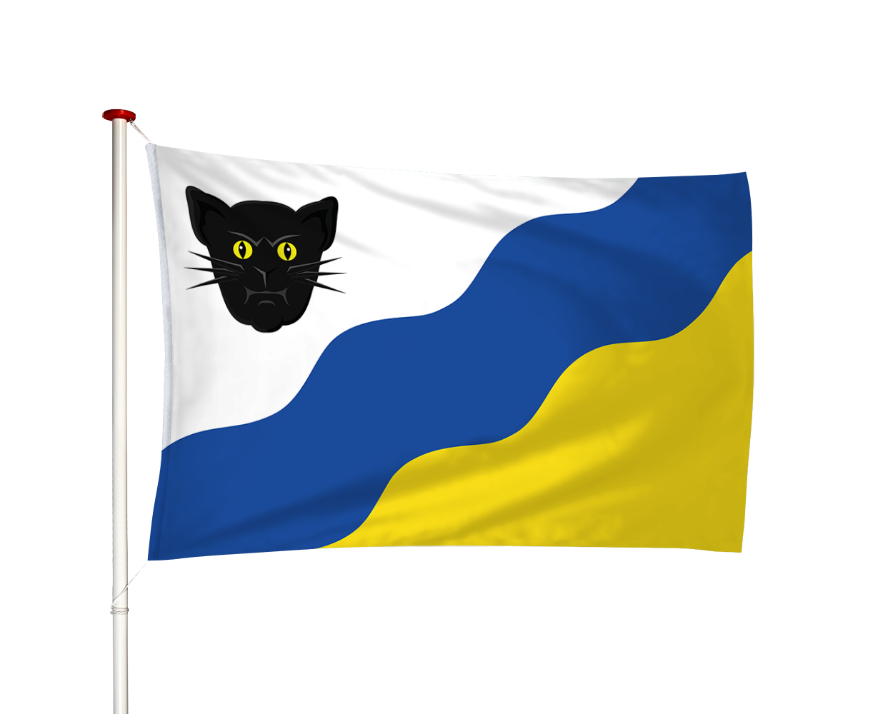 Vlag Ried - Rie (fr)