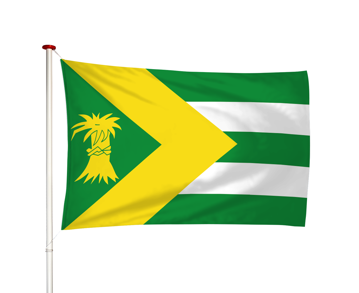 Vlag Rien