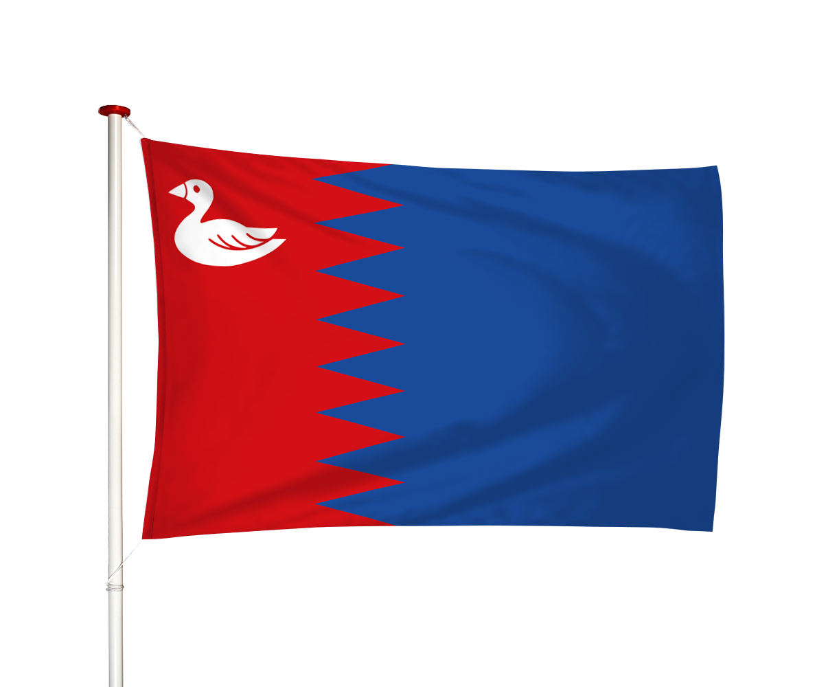 Vlag Rijperkerk - Ryptsjerk (fr)