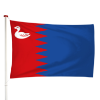 Vlag Rijperkerk - Ryptsjerk (fr)