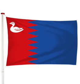 Vlag Rijperkerk - Ryptsjerk (fr)