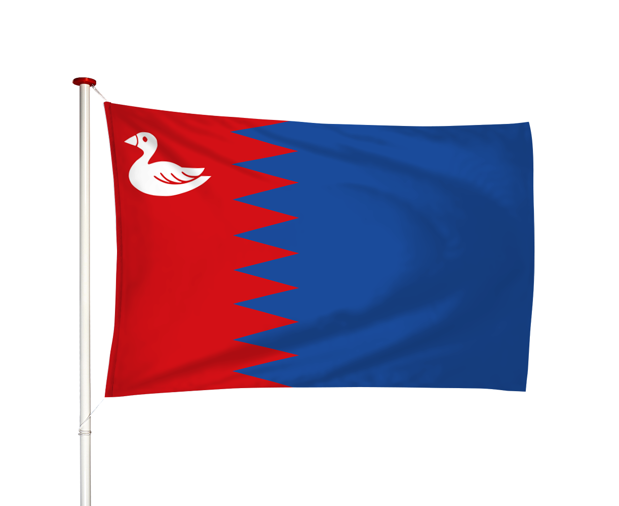 Vlag Rijperkerk - Ryptsjerk (fr)