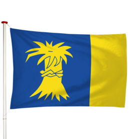 Vlag Roordahuizum - Reduzum (fr)