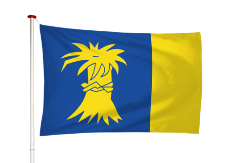 Vlag Roordahuizum - Reduzum (fr)