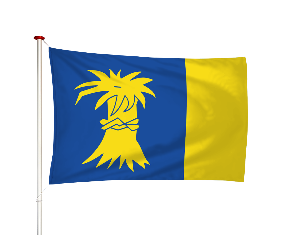 Vlag Roordahuizum - Reduzum (fr)