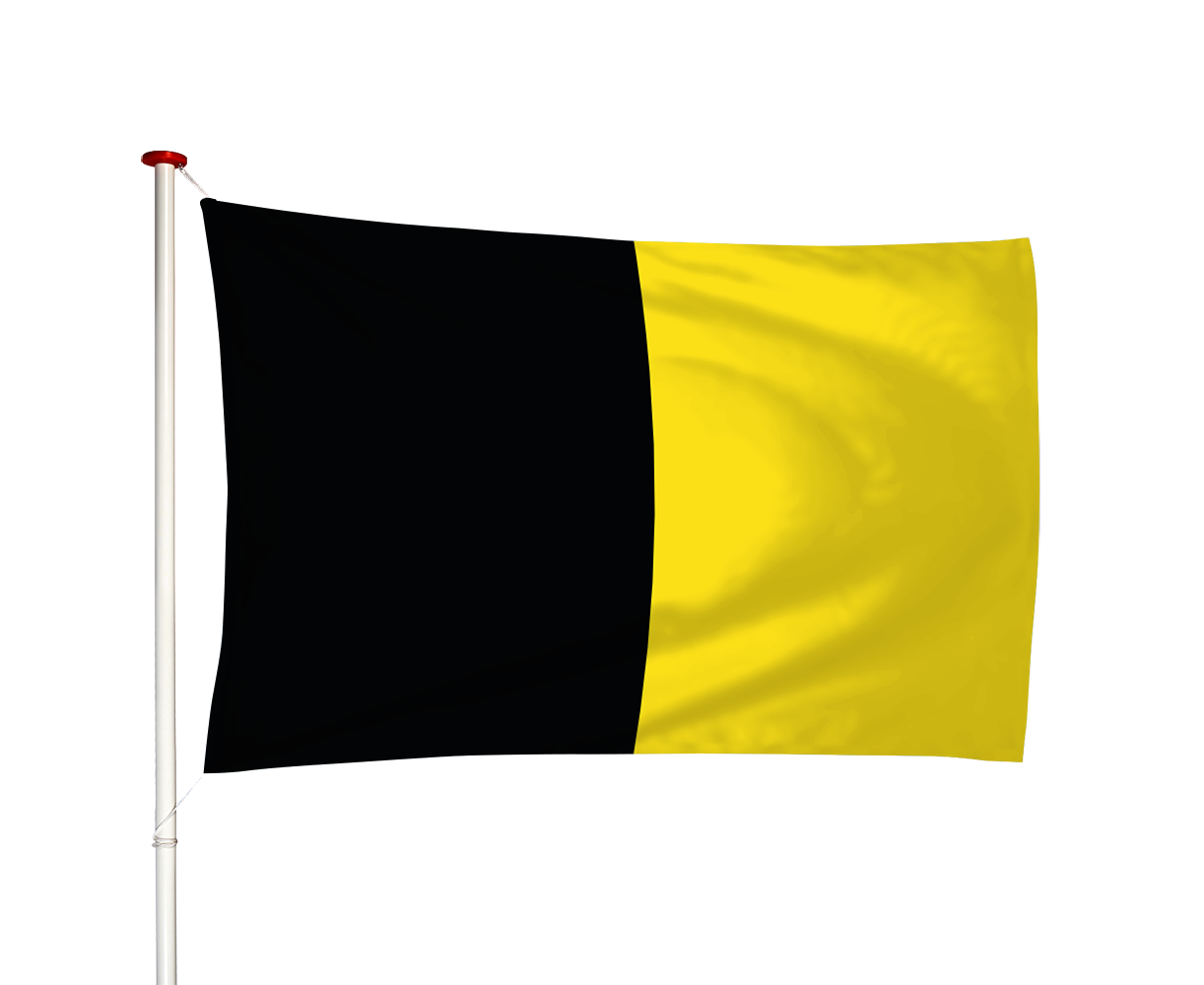 Vlag Sneek - Snits (fr)