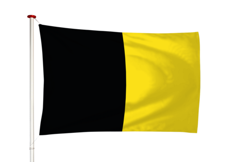 Vlag Sneek - Snits (fr)