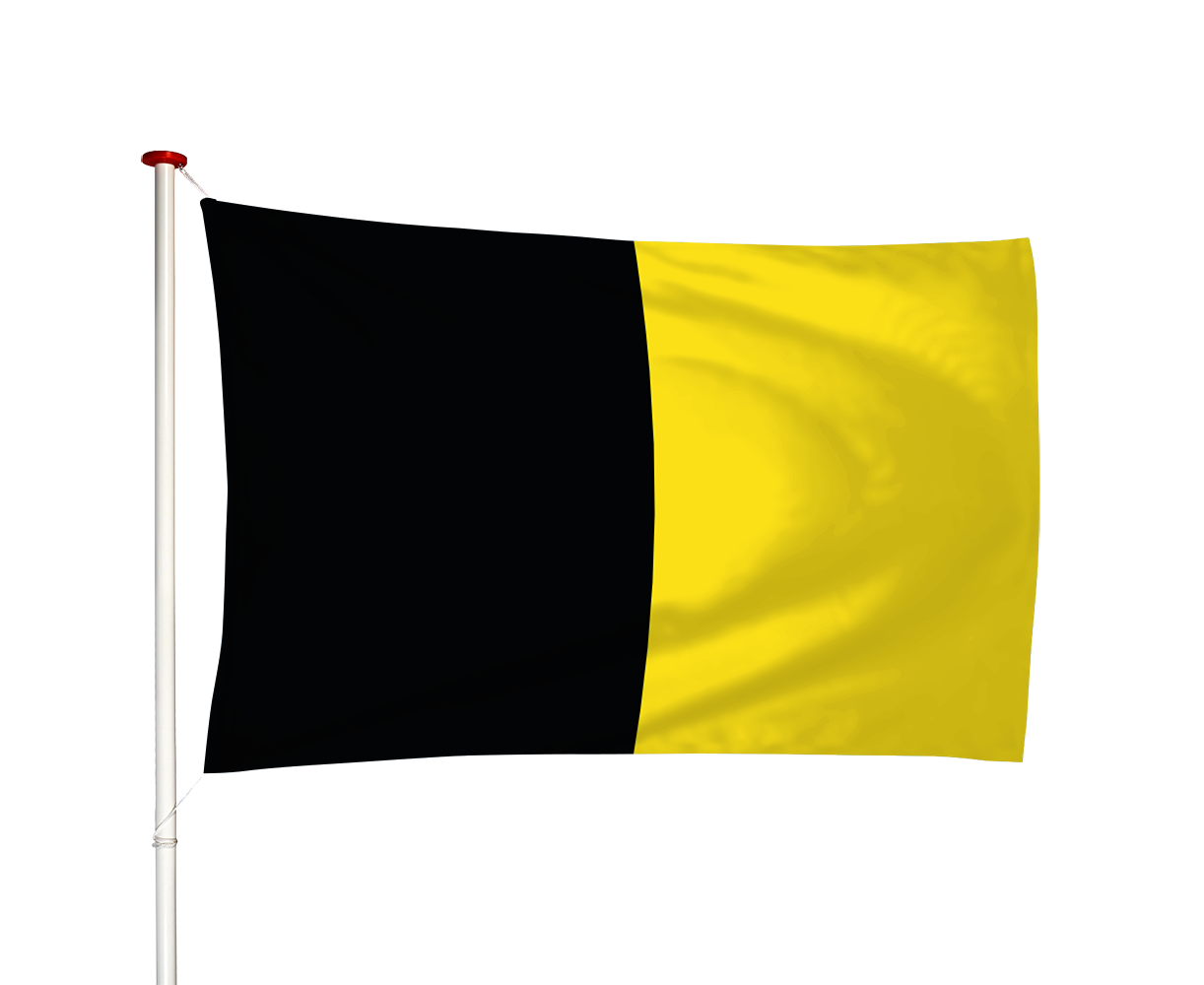 Vlag Sneek - Snits (fr)